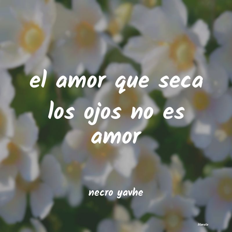 frases de necro yavhe