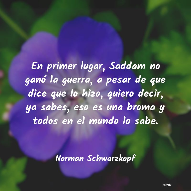 Frases de Norman Schwarzkopf