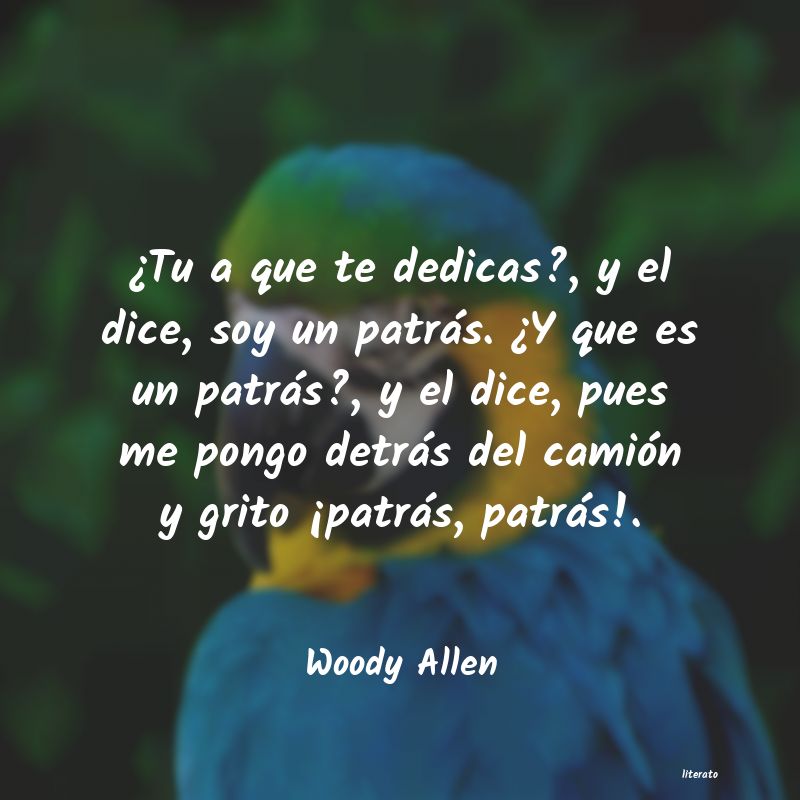 Frases de Woody Allen