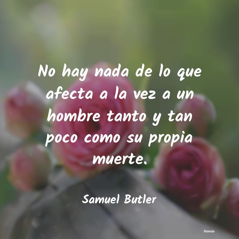 Frases de Samuel Butler