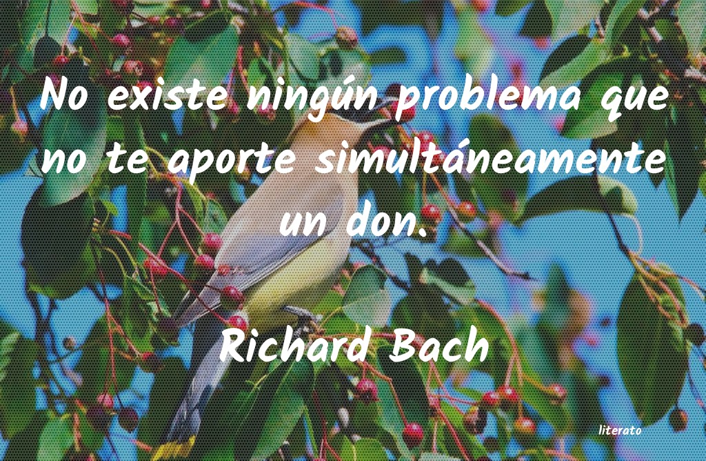 frases de Richard Bach