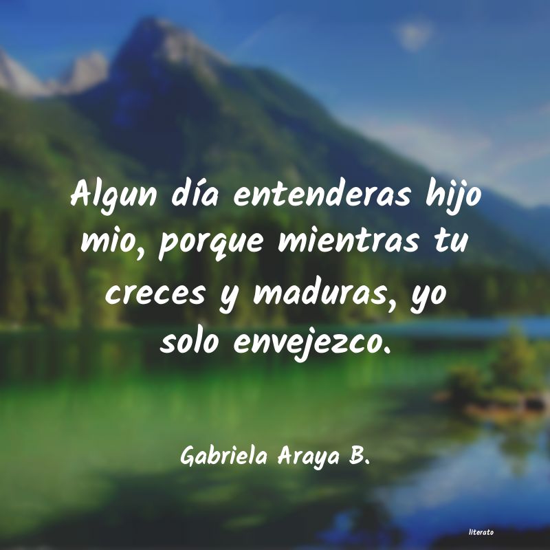 Frases de Gabriela Araya B.