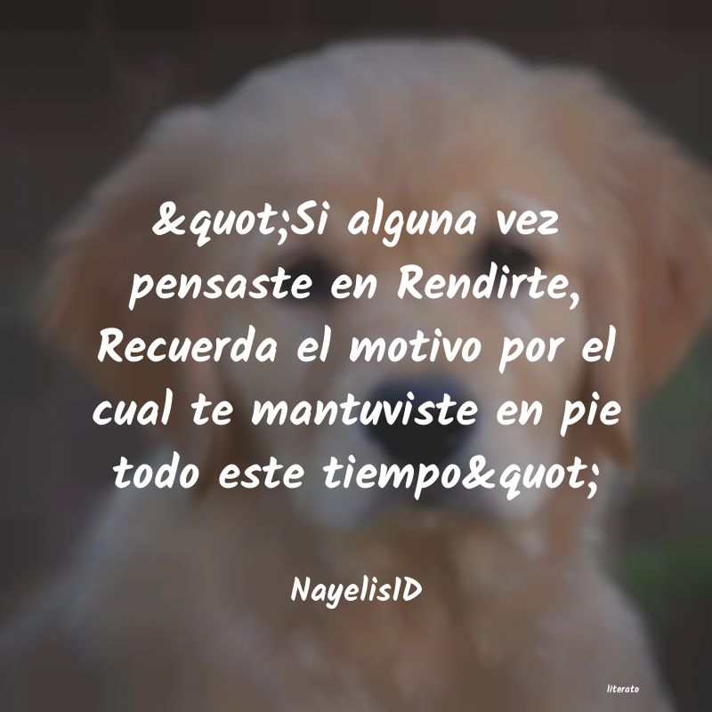 frases de a pesar de todo
