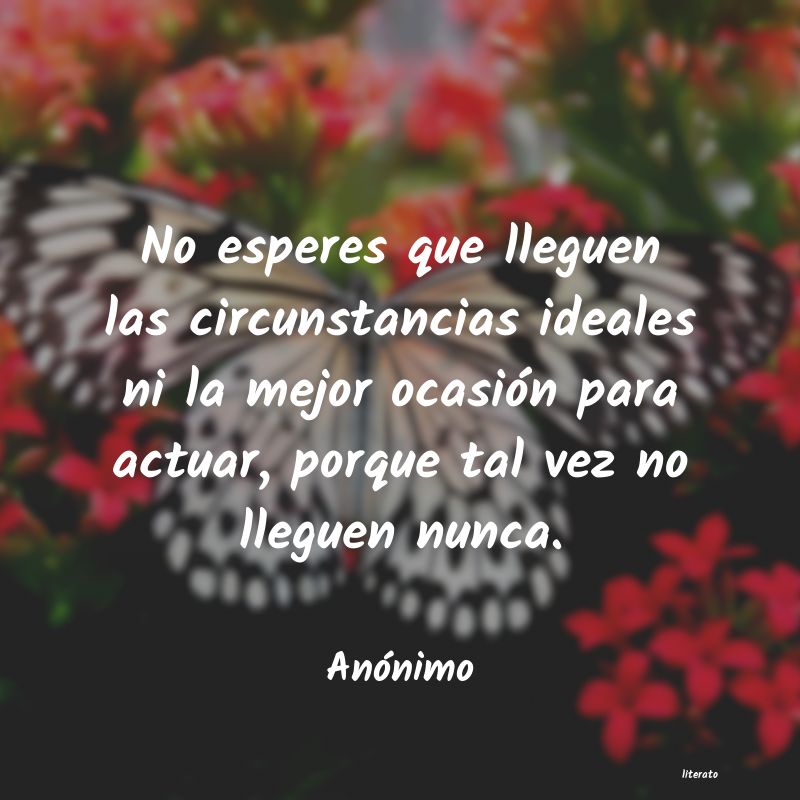 frases