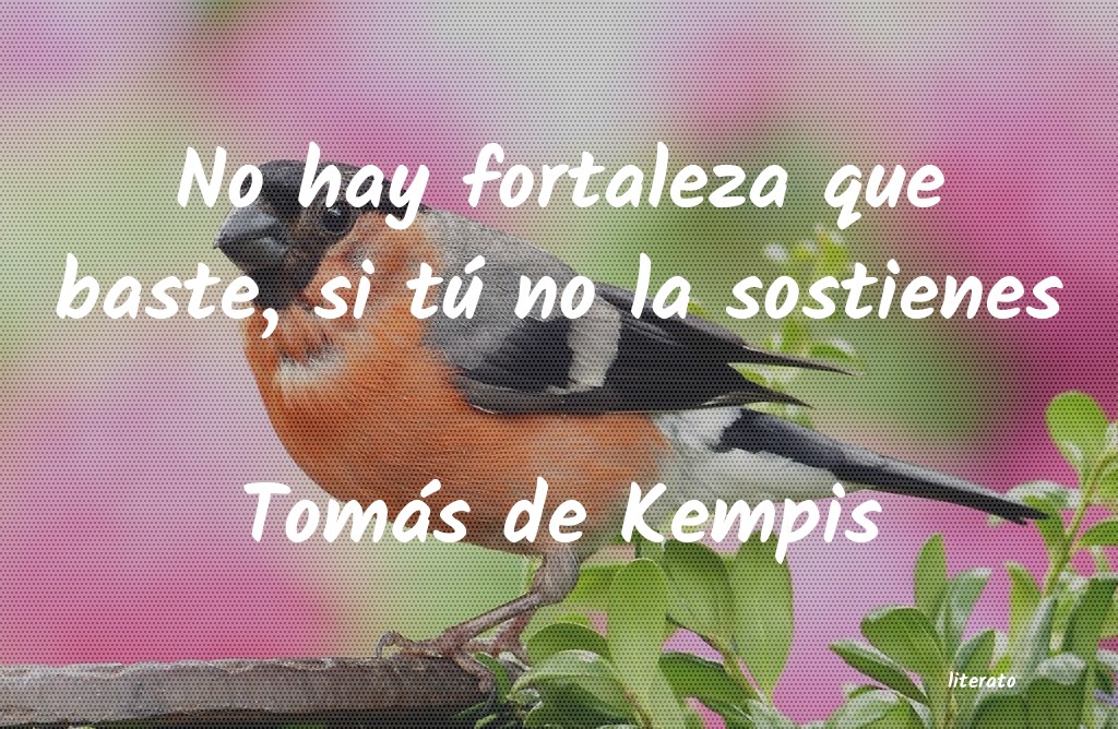 Frases de Tomás de Kempis