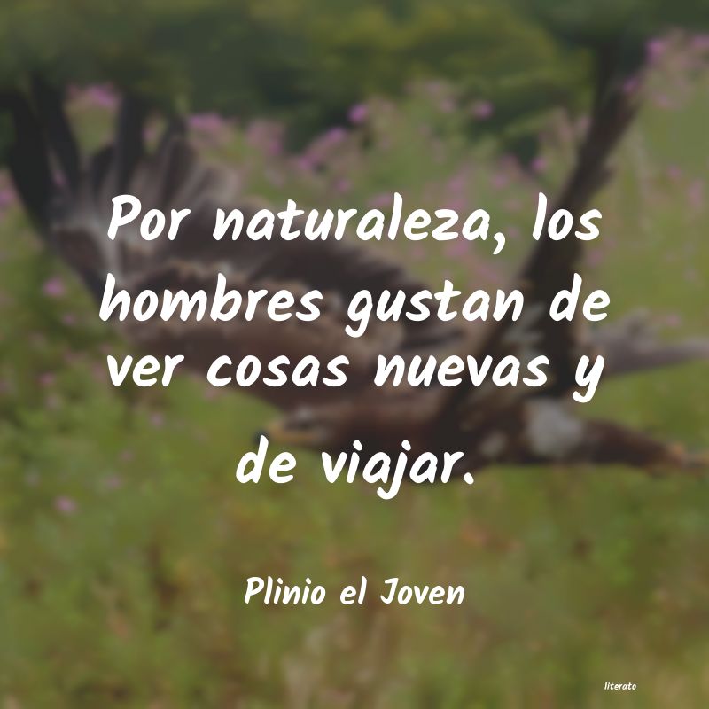 frases de Plinio el Joven