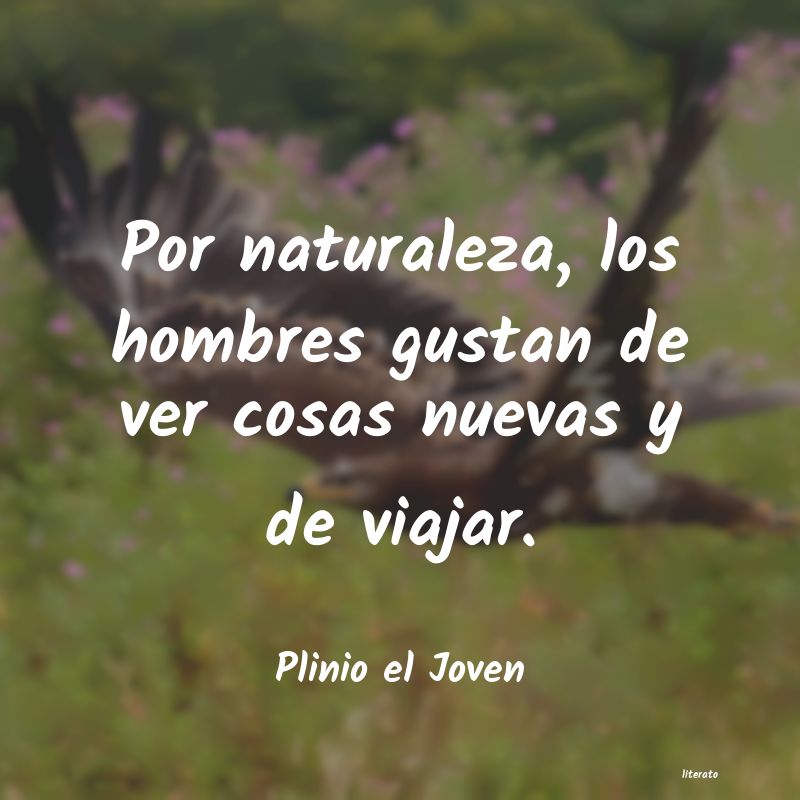 Frases de Plinio el Joven