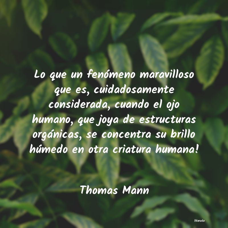 thomas mann paz