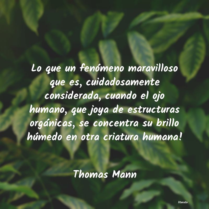 Frases de Thomas Mann