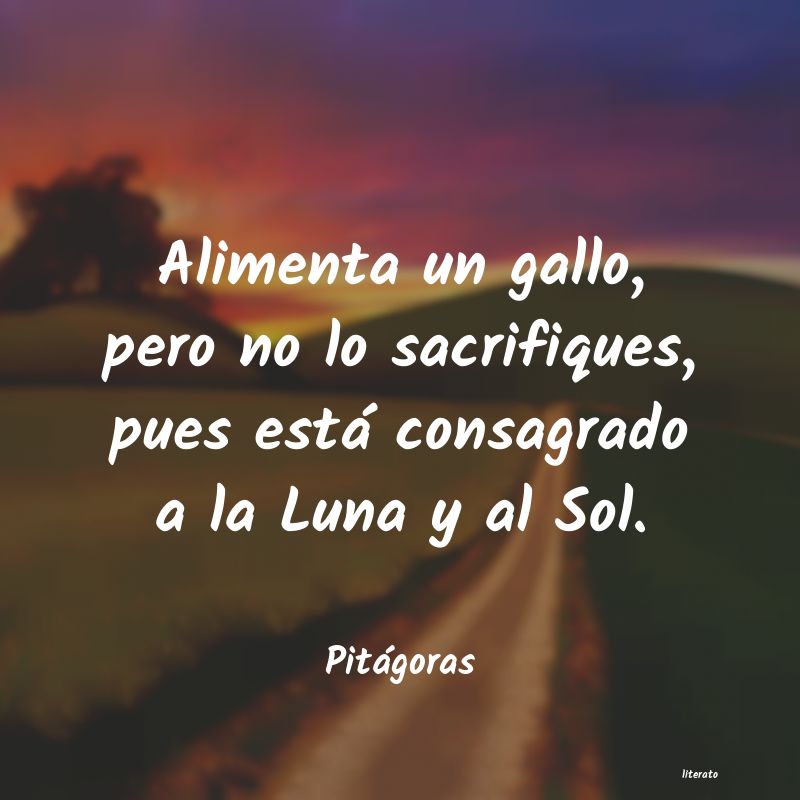 frases de Pitágoras