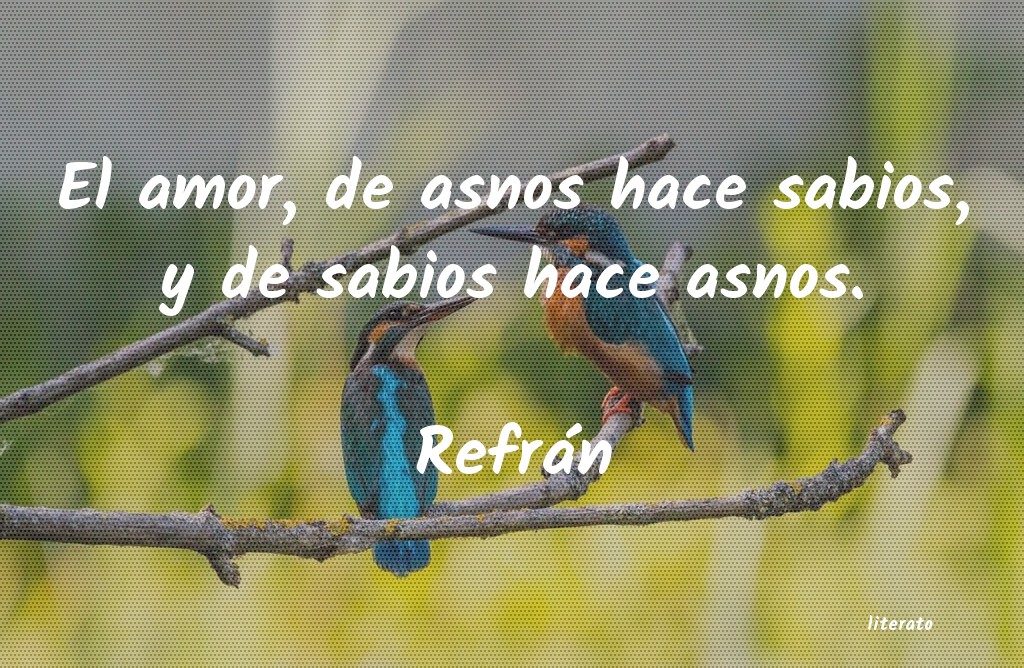 Frases de Refrán