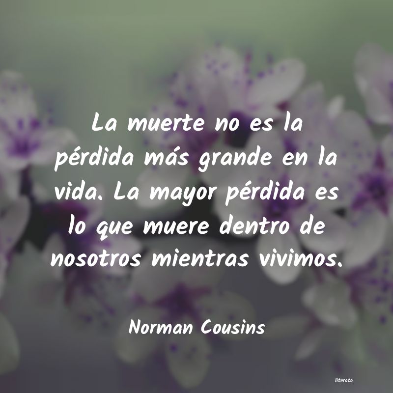 frases de Norman Cousins