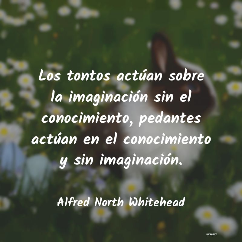 Frases de Alfred North Whitehead