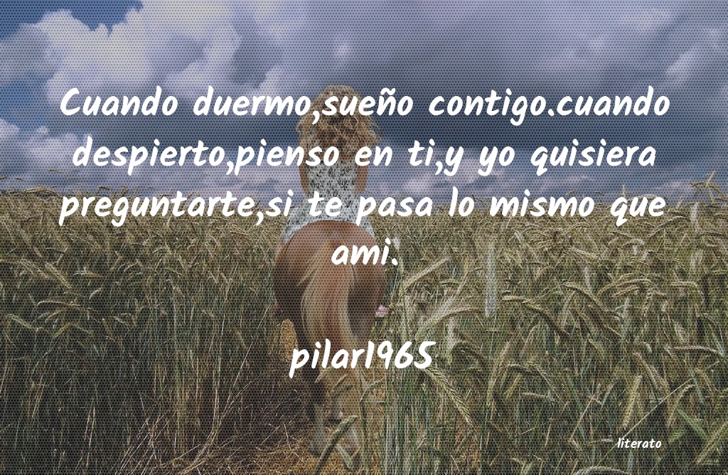 Frases de pilar1965