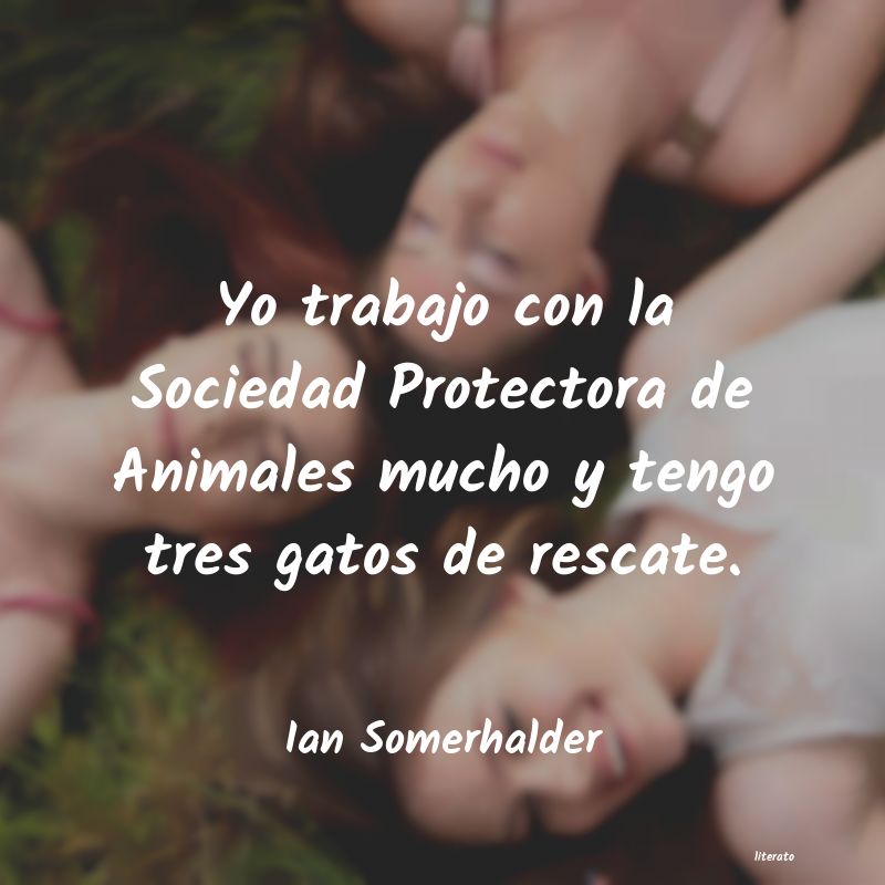 frases de Ian Somerhalder