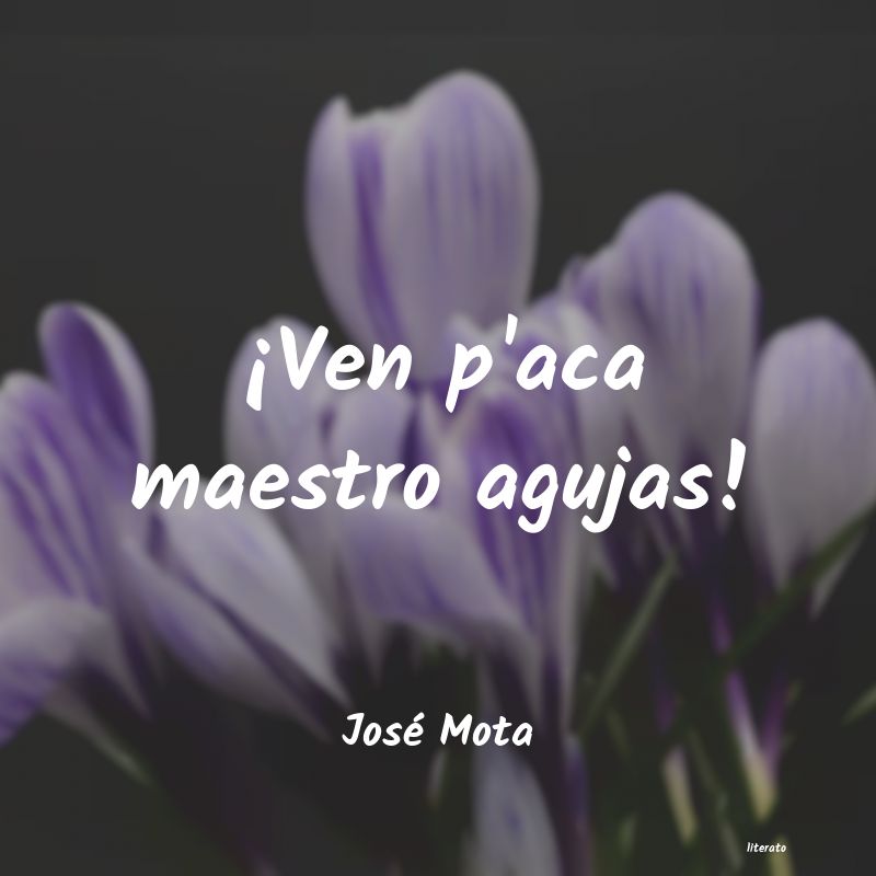 frases de José Mota