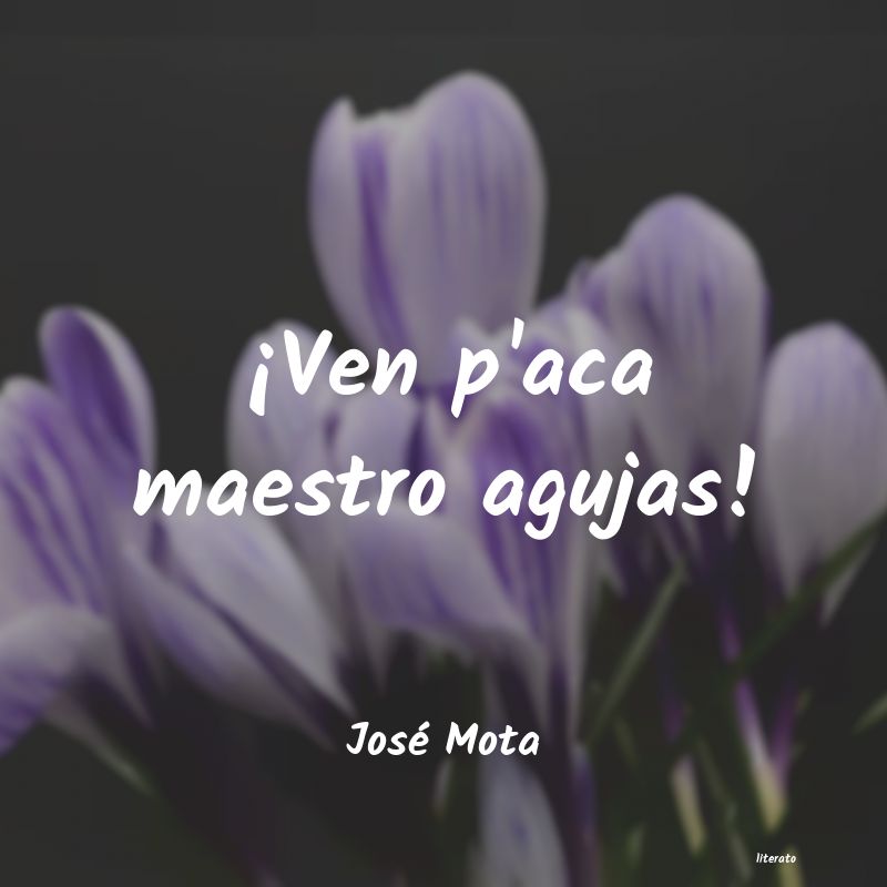 Frases de José Mota