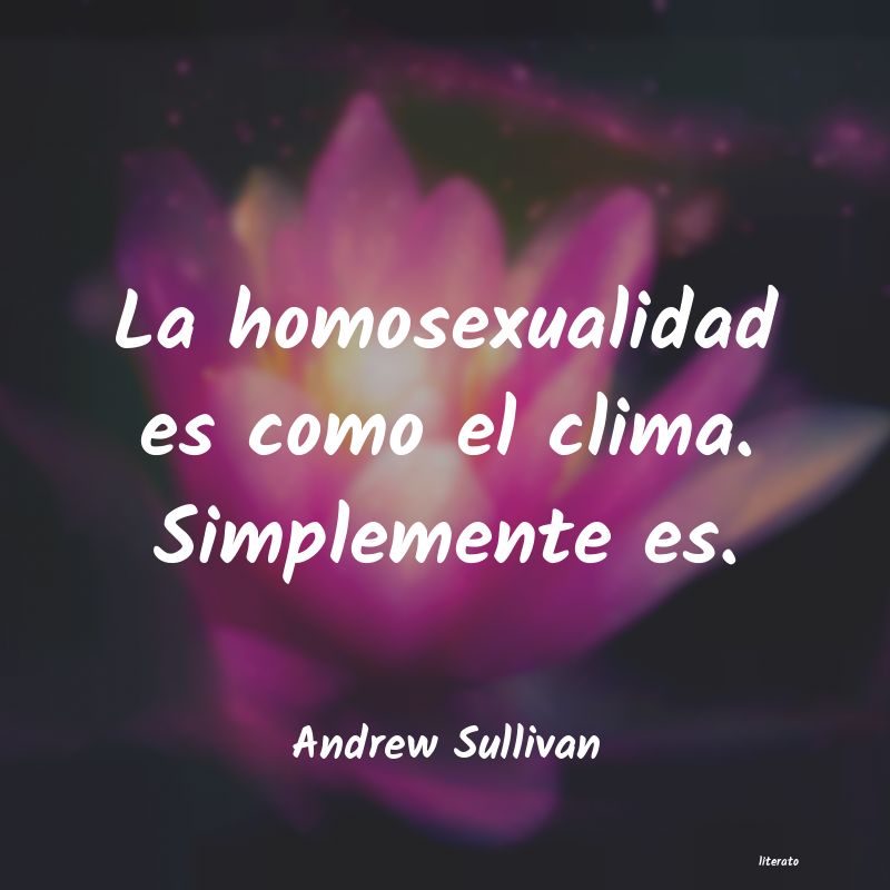 Frases de Andrew Sullivan