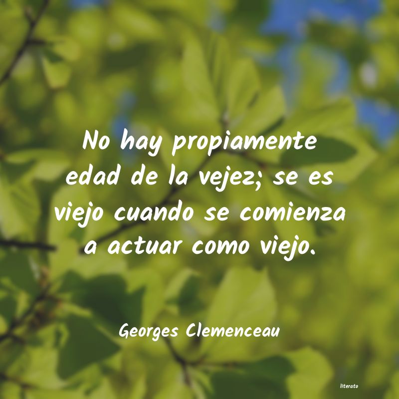 frases de Georges Clemenceau
