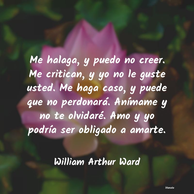frases de William Arthur Ward