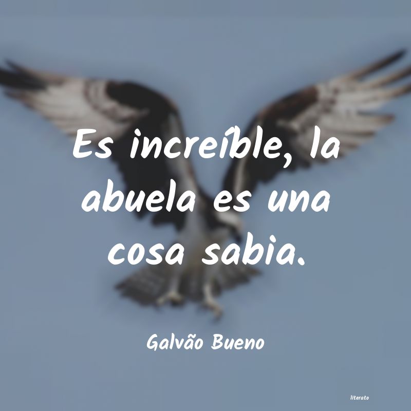 frases de Galvão Bueno