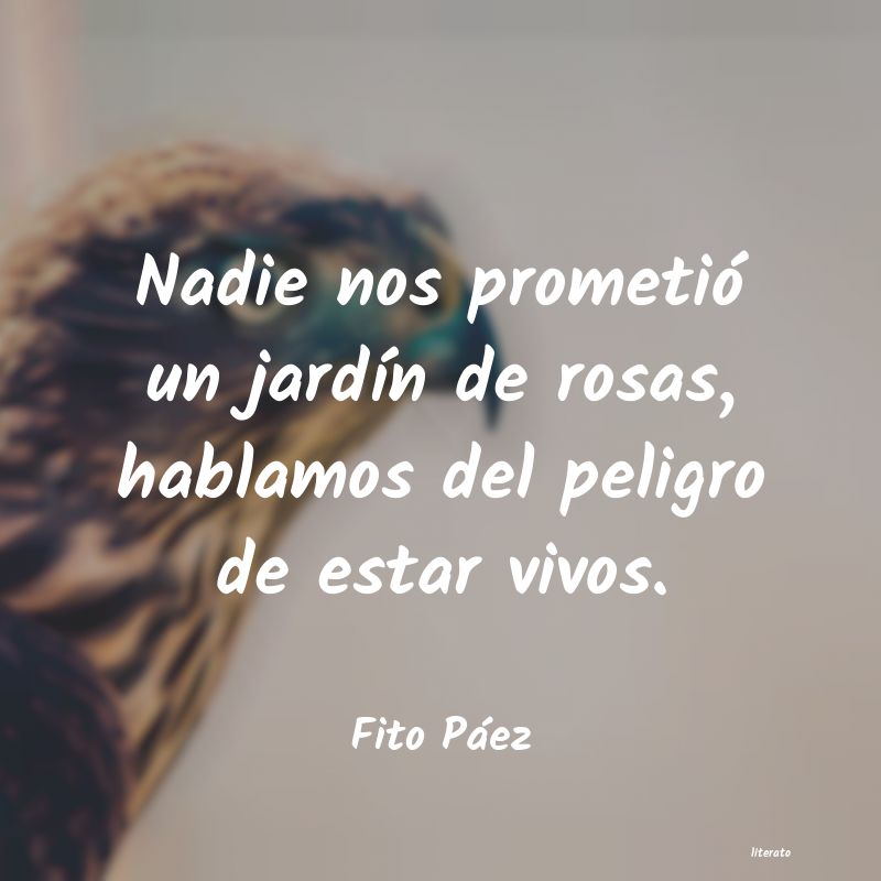 Frases de Fito Páez