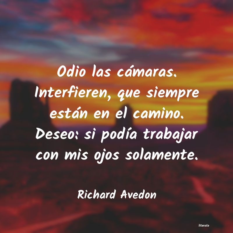 Frases de Richard Avedon