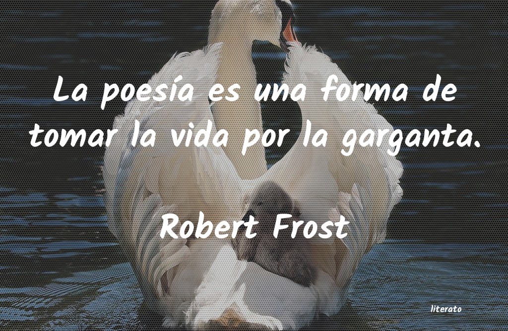 frases de Robert Frost