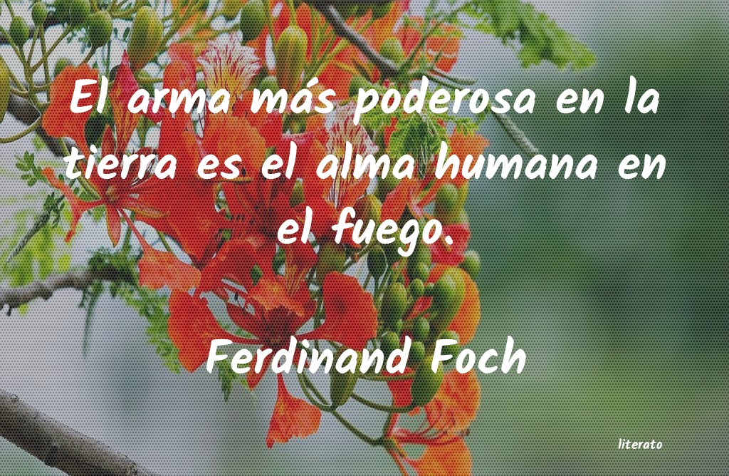 Frases de Ferdinand Foch