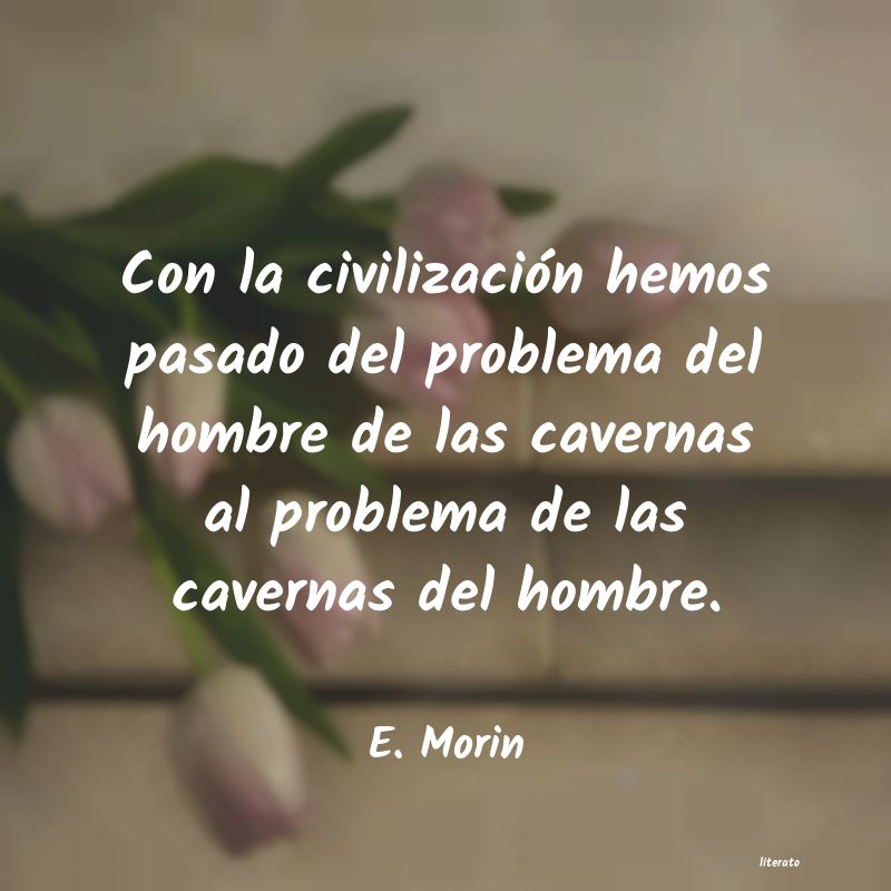 Frases de E. Morin