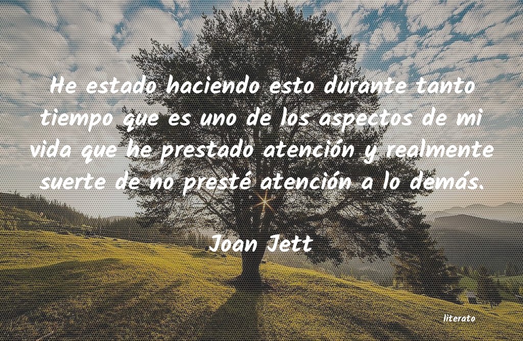 Frases de Joan Jett