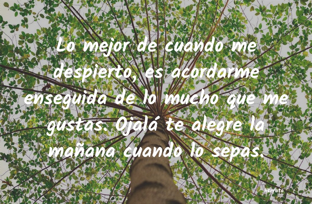 frases