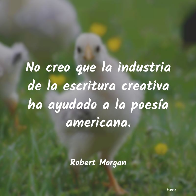 Frases de Robert Morgan