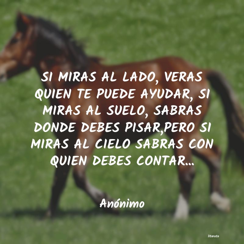 frases