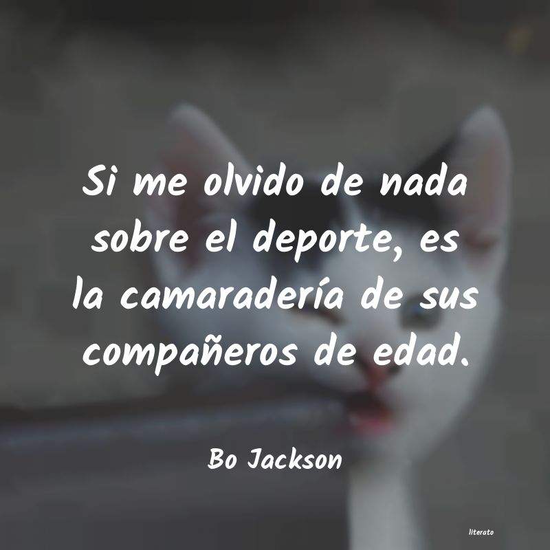 frases de Bo Jackson