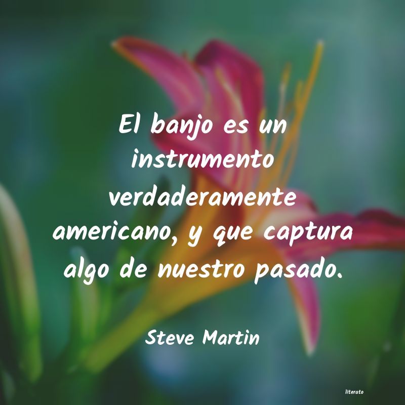 Frases de Steve Martin