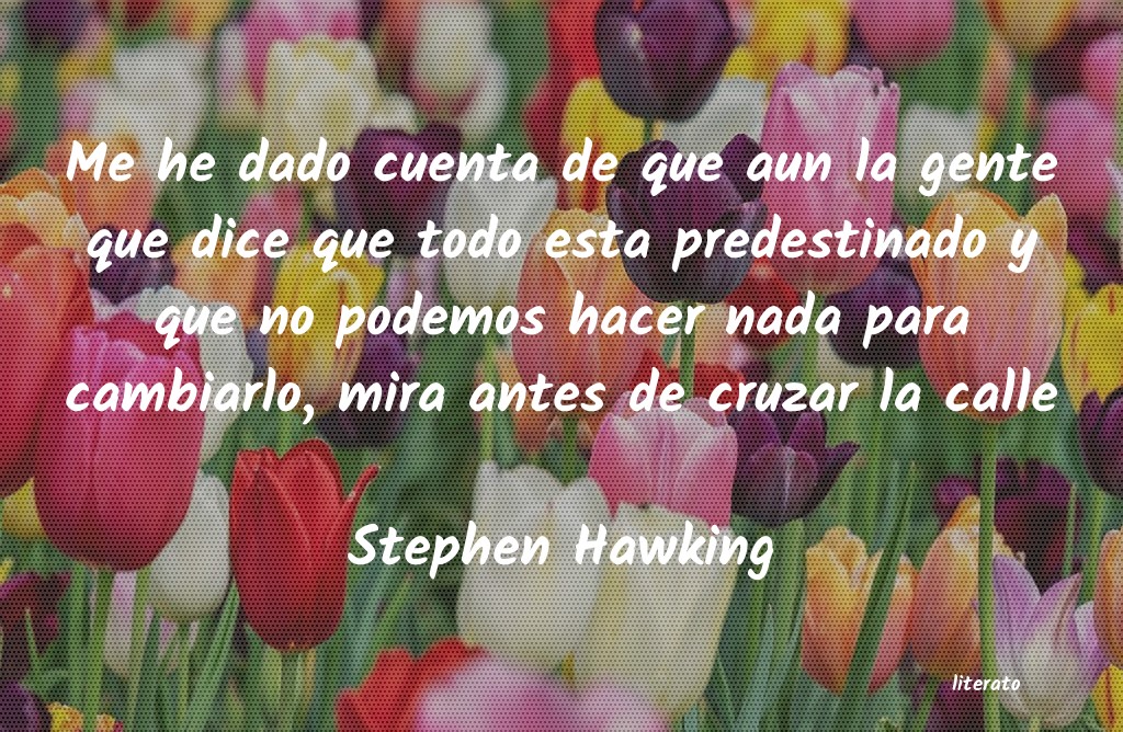 frases de Stephen Hawking