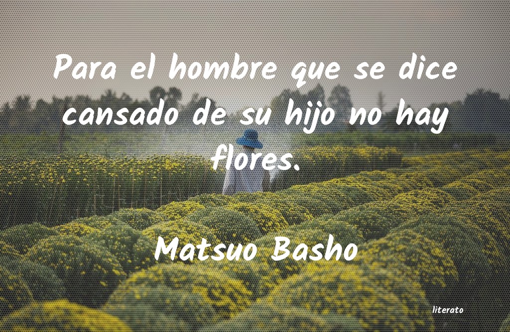 Frases de Matsuo Basho