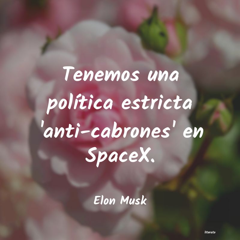 frases de Elon Musk