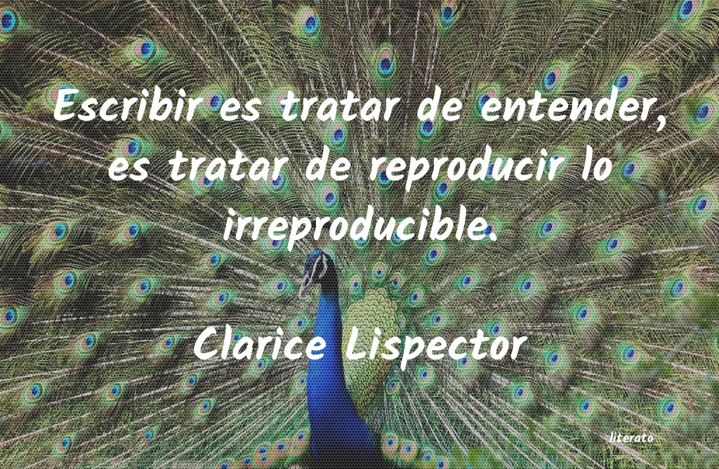 <ol class='breadcrumb' itemscope itemtype='http://schema.org/BreadcrumbList'>
<li itemprop='itemListElement'><a href='/autores/'>Autores</a></li>
<li itemprop='itemListElement'><a href='/autor/clarice_lispector/'>Clarice Lispector</a></li>
</ol>