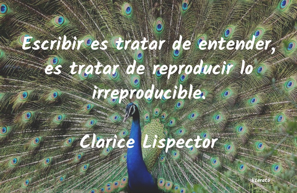 Frases de Clarice Lispector