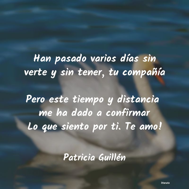 Frases de Patricia Guillén