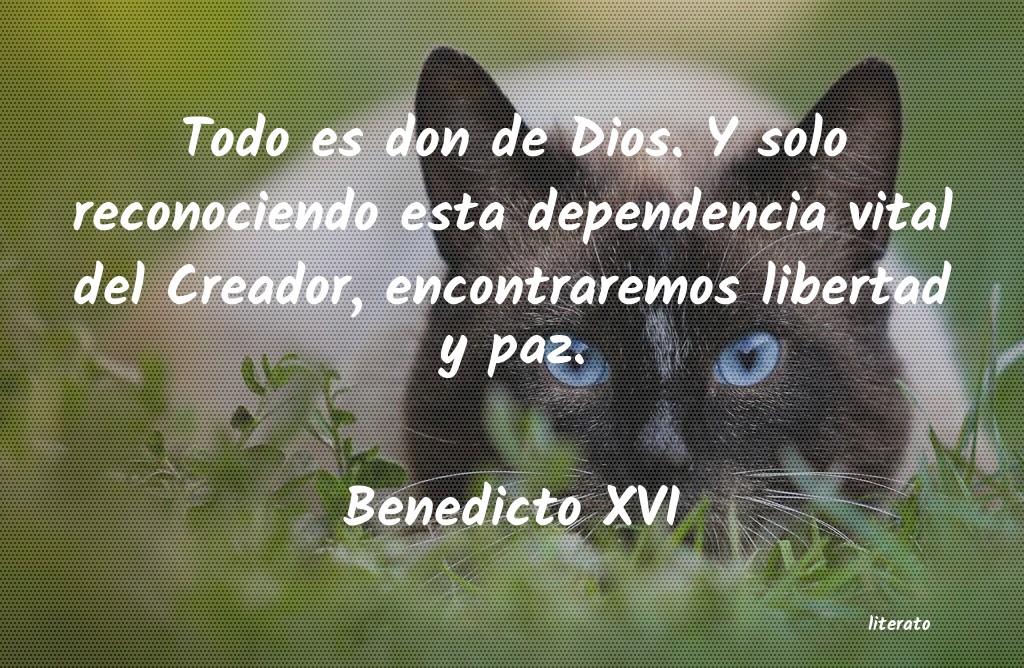 Frases de Benedicto XVI