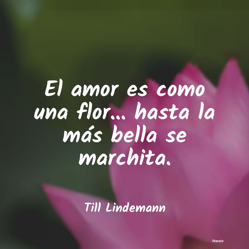 frases de Till Lindemann