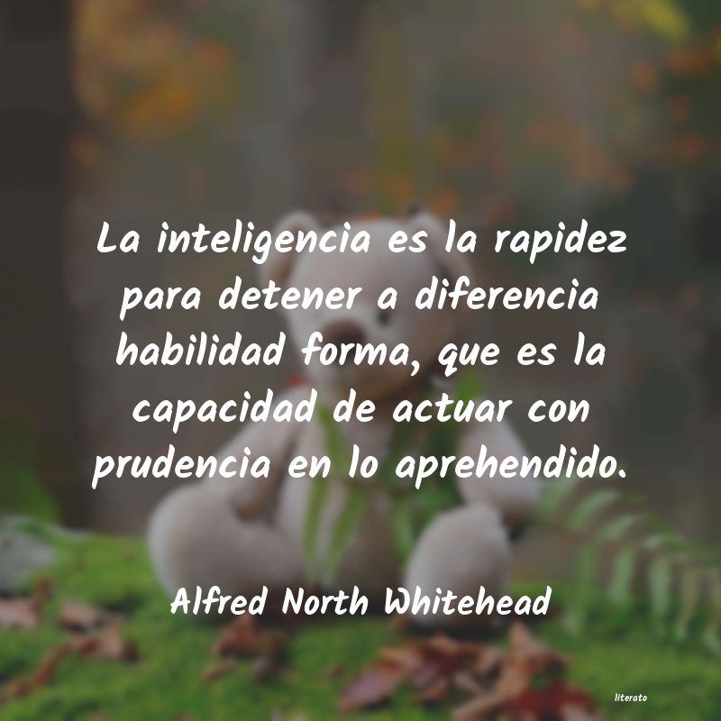 Frases de Alfred North Whitehead