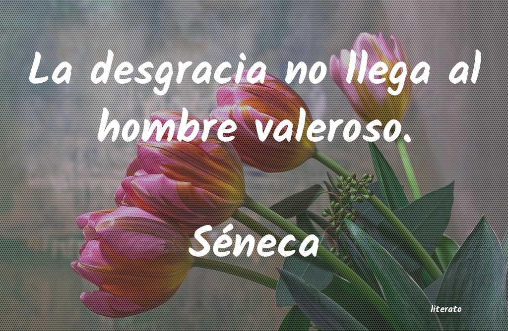 Frases de Séneca