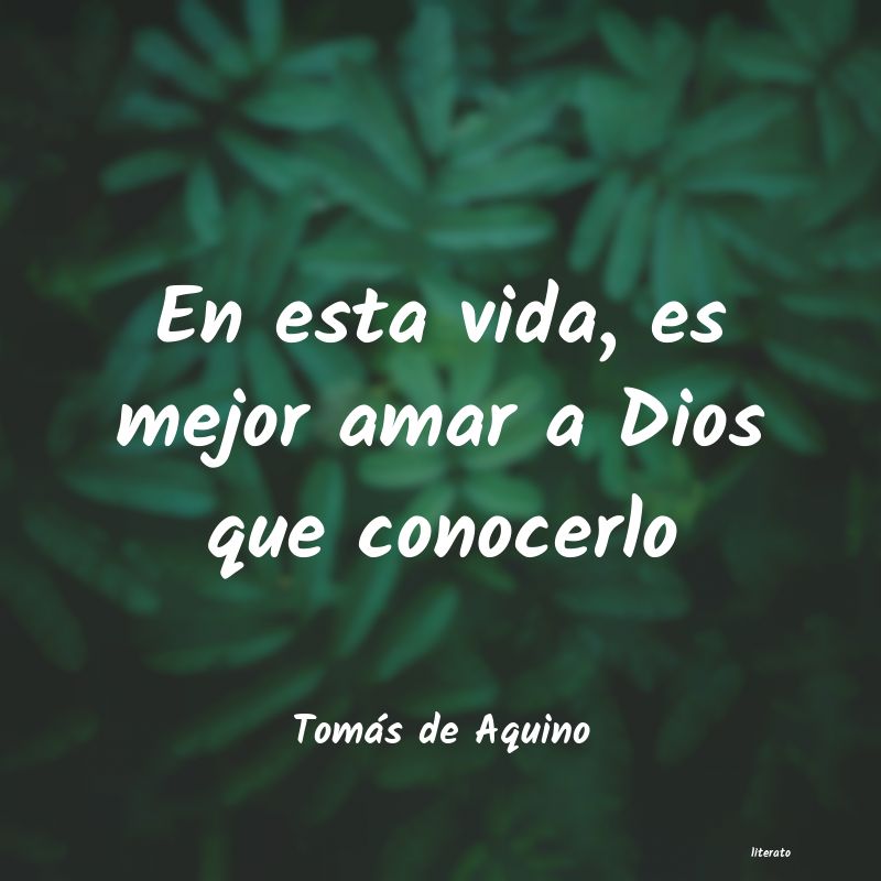 Frases de Tomás de Aquino