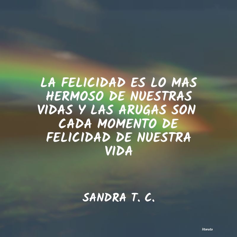 Frases de SANDRA T. C.