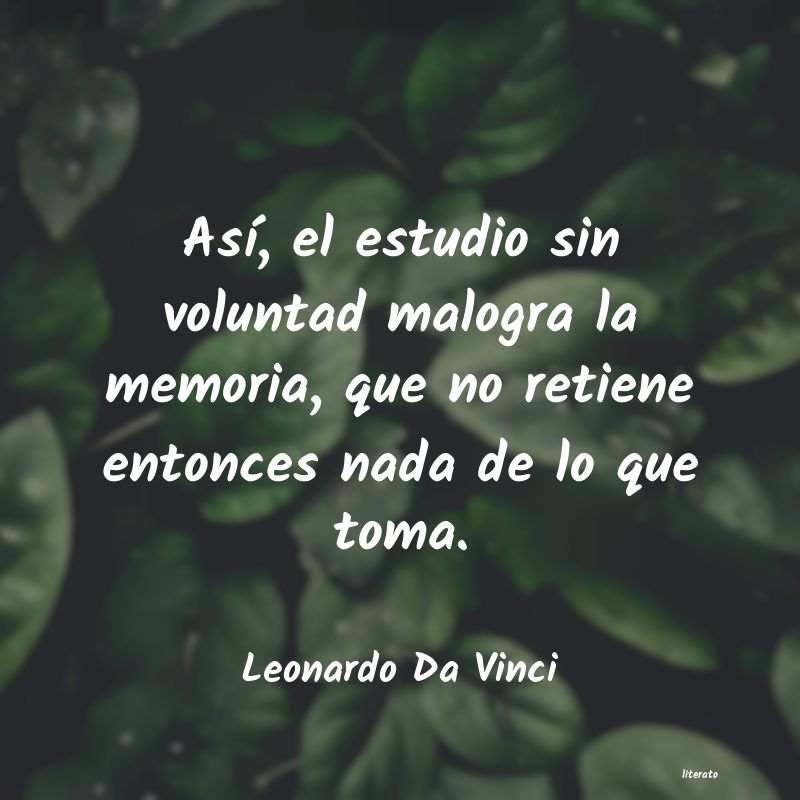 Frases de Leonardo Da Vinci