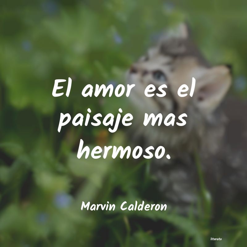 Marvin Calderon: El amor es el paisaje mas herm